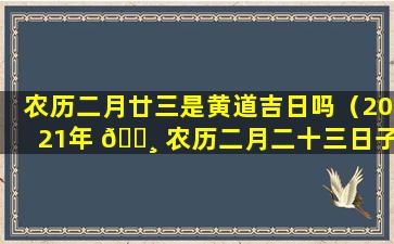 农历二月廿三是黄道吉日吗（2021年 🌸 农历二月二十三日子好吗）